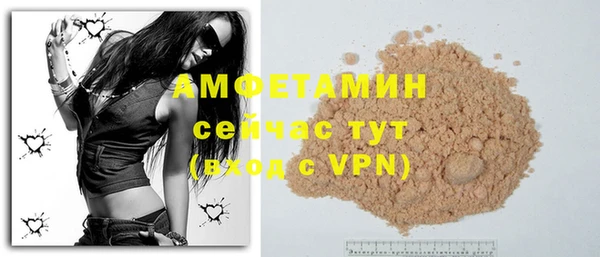 шишки Лабытнанги