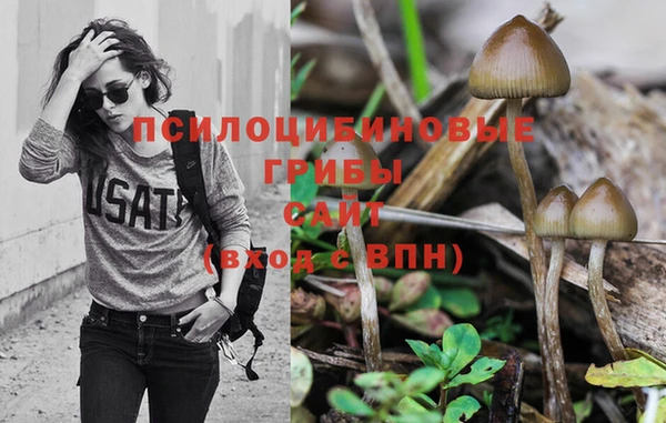 шишки Лабытнанги