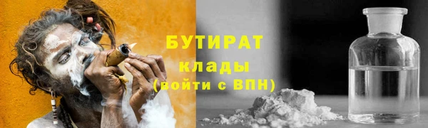 шишки Лабытнанги