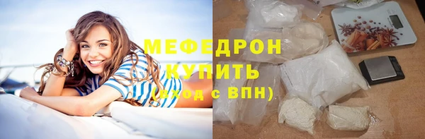 шишки Лабытнанги