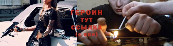 шишки Лабытнанги
