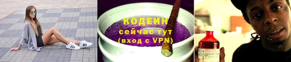 шишки Лабытнанги