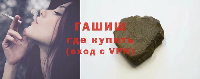 шишки Лабытнанги