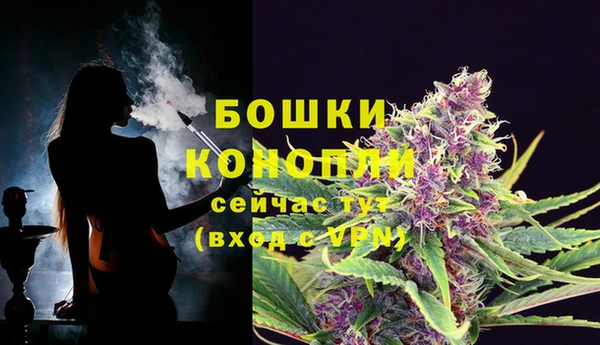 шишки Лабытнанги